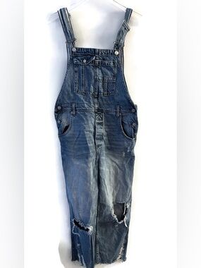 We The Free Denim Overalls Size 26